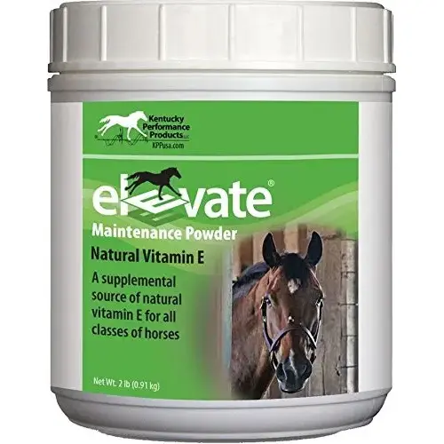 Elevate Maintenance Powder 2-LB