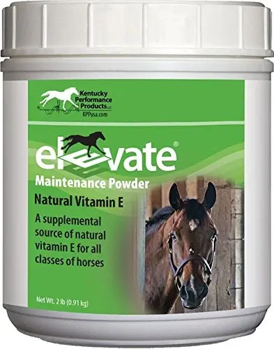 Kentucky Performance Products Elevate Maintenance Powder 2-LB 990005