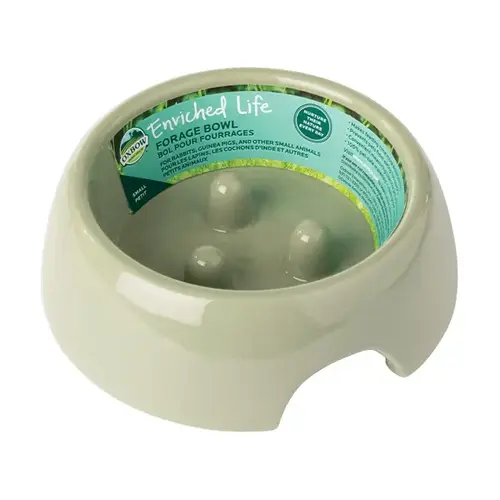 Forage Small Food Bowl for Small Pets Forage Small Food Bowl for Small Pets