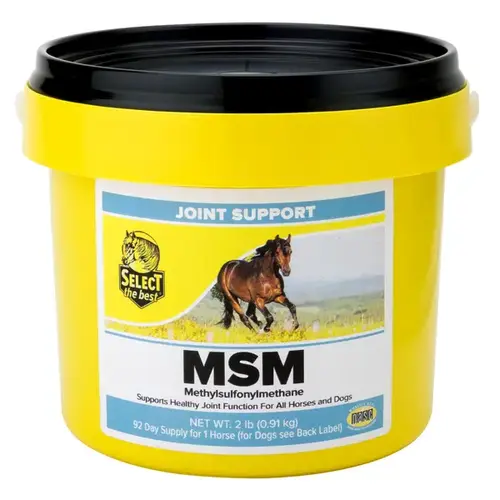 Select The Best MSM 99.8% 2-lb Jar Select The Best MSM 99.8% 2-lb Jar