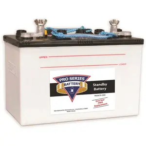 Pro Series Pumps B-2200 PHCC PRO SERIES (GLENTRONICS)  STANDBY BATTERY