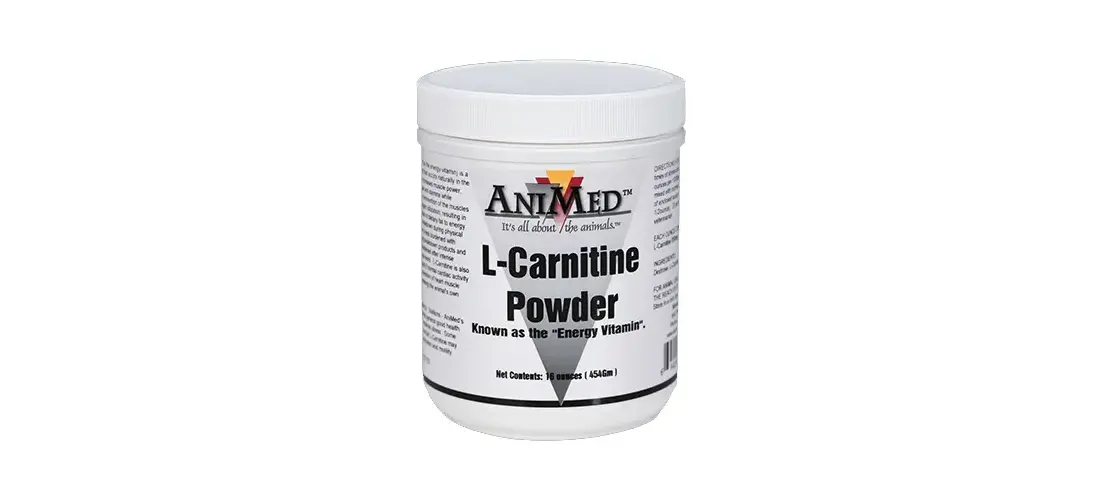 l carnitine 3000 mg bodybuilding L-Carnitine Liquid 3000mg with Vitamin B5  Sugar Free Formula   Muscleology Sports Nutrition