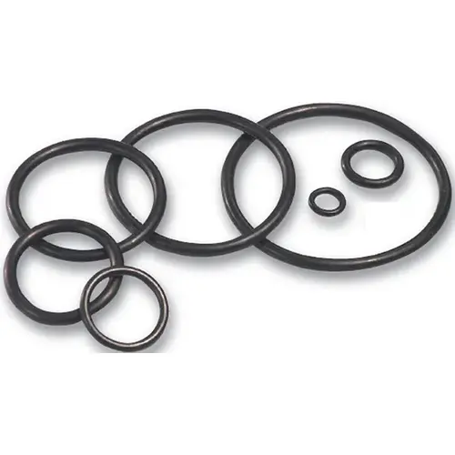 Assorted O-Ring 3/4" D Rubber Assorted O-Ring 3/4" D Rubber
