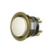 Antique Brass