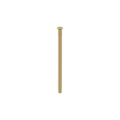 Pin for 4"x 4" Steel Hinge in Brushed Brass Pin for 4"x 4" Steel Hinge in Brushed Brass