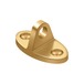 PVD Polished Brass