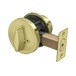 Polished Brass