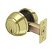 Polished Brass