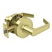 Polished Brass