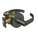 Oil-rubbed Bronze