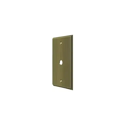 Switch Plate; Cable Cover Plate; Antique Brass Finish
