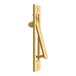 PVD Polished Brass