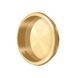 PVD Polished Brass