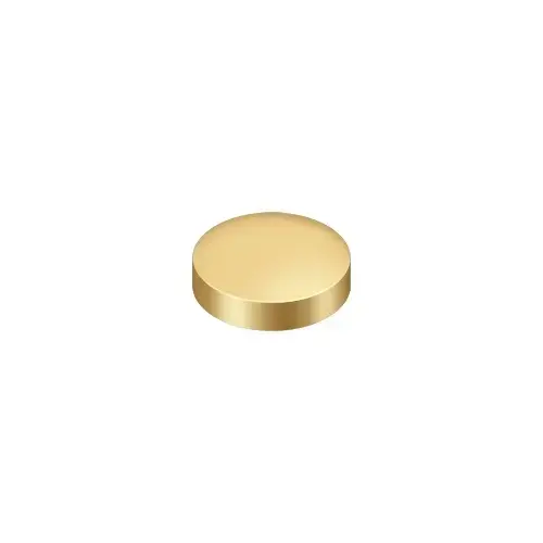 Screw Cover, Round, Flat, 1" Diam in PVD Polished Brass Screw Cover, Round, Flat, 1" Diam in PVD Polished Brass
