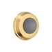 PVD Polished Brass