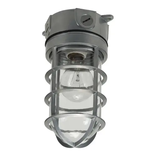 Vapor Tight Light Fixture, 120 VAC, 100 W, Incandescent Lamp, 1600 Lumens Lumens, Aluminum Fixture Gray