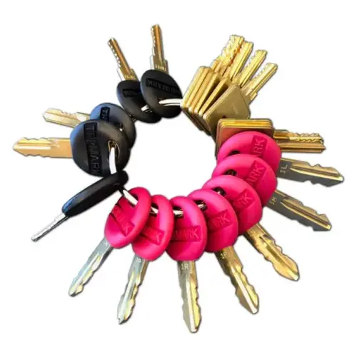 Blue Dog TriMark Master Key Set of 20 Keys Blue Dog TriMark Master Key Set of 20 Keys