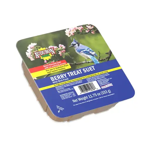 AUDUBON SUET - BERRY TREAT ASCB-13066 .5625# (.02) - pack of 12 AUDUBON SUET - BERRY TREAT ASCB-13066 .5625# (.02) - pack of 12