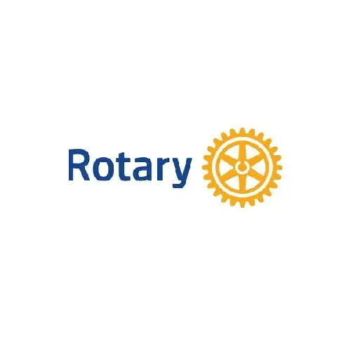 Rotary Honda Transmission Clutch Spring