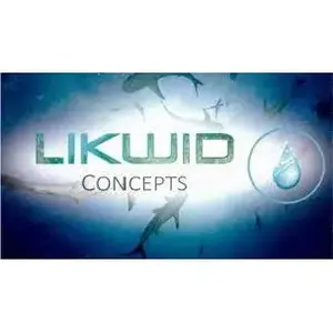 Likwid Concepts SP001 The Spindle Painting Cover