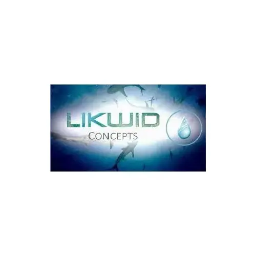 The Spindle Painting Cover