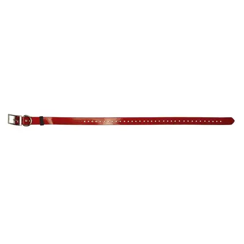 SunGlo Dog Tracking Collar Band 1" x 30" Cut-to-Fit Polyurethane Coated Nylon - Red SunGlo Dog Tracking Collar Band 1" x 30" Cut-to-Fit Polyurethane Coated Nylon - Red