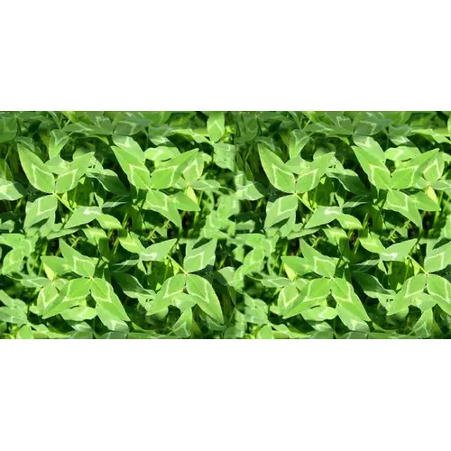 Blackhawk Arrowleaf Clover Seeds - 50 lbs Blackhawk Arrowleaf Clover Seeds - 50 lbs