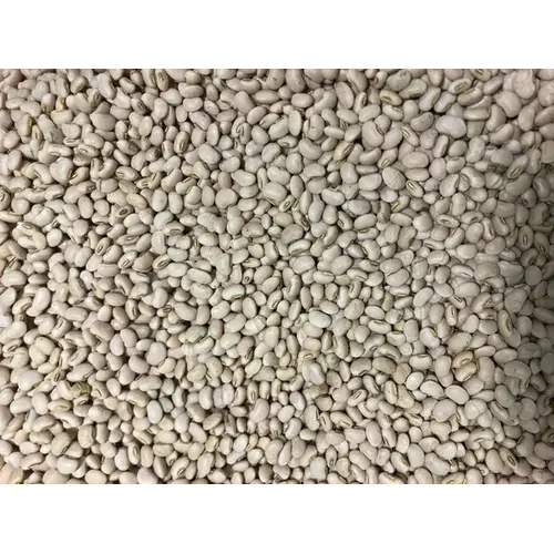 Cowpeas - Whipper Snapper - 5-LBS