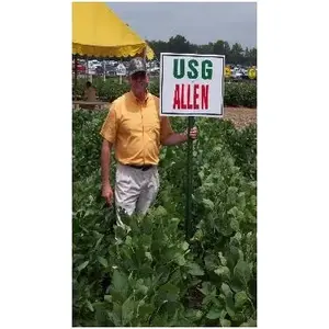 Clemmons and Hamner Seed Inc 140K Soybean Seed Glyphosate Tolerant 140K Count (Approx 35-lbs)