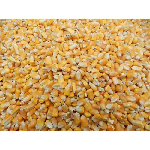 Central States Whole Corn - 50 lb