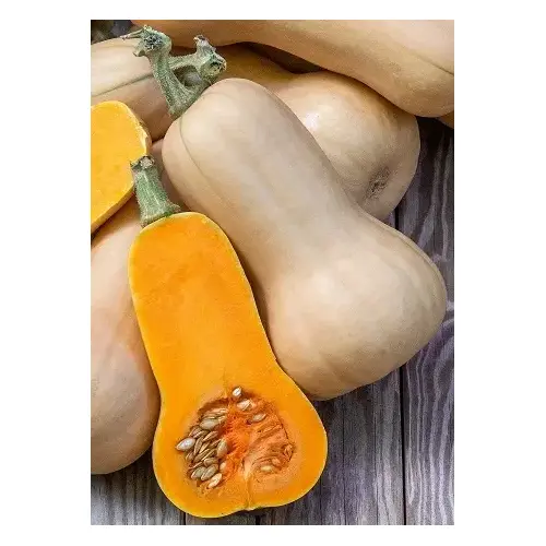 Squash - Waltham Butternut 1-lbs