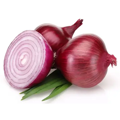 Red Onion Sets 32 Lb. Bag