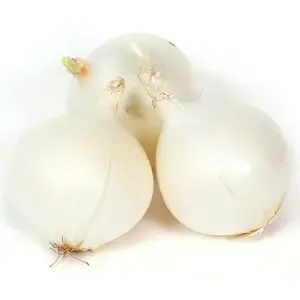 Disselkoen & Mulder Farms 13722161 3hite Onion Sets 32 Lb. Bag Buy Now