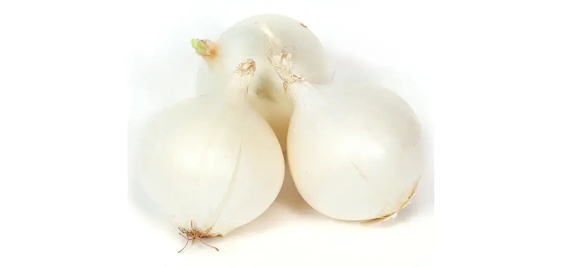 Disselkoen & Mulder Farms 13722161 3hite Onion Sets 32 Lb. Bag Buy Now