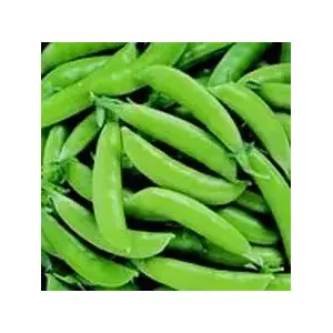 Charter Seed Co 13702274 Peas - Sugar Snap 5-lbs