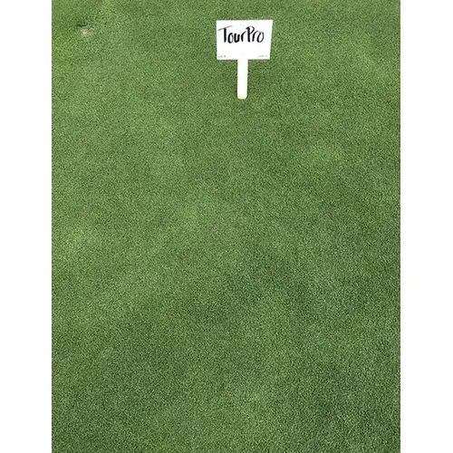 Perfect'Turf - Yard & Turf Seed Blend Perfect'Turf - Yard & Turf Seed Blend