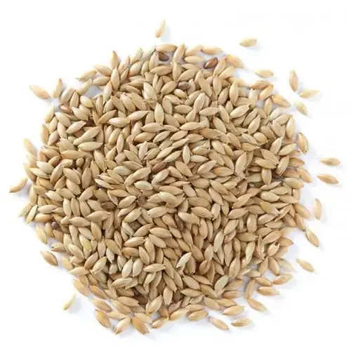 Canary Seed 50LB Canary Seed 50LB