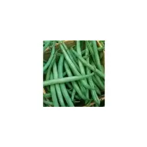 Charter Seed Co BH-50# Beans Half Runner White State 50-lbs