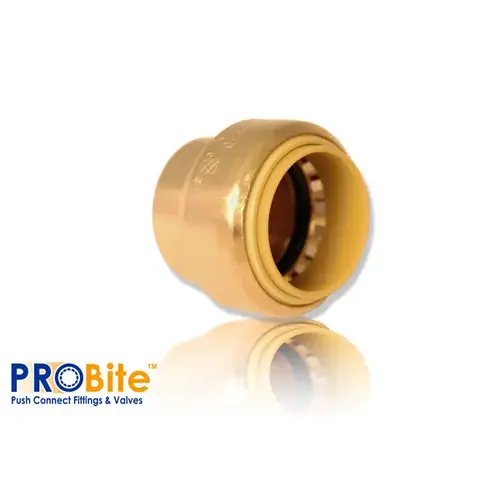 1/2" Pipebite End Stop 1/2" Pipebite End Stop