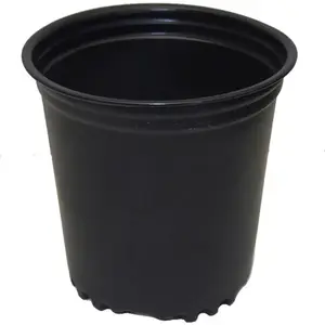 Haviland Plastic Products Co HP075-XCP20 1 Gallon Plastic Nursery Container - pack of 20