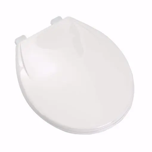 Jones Stephens Aqua Plumb Toilet Seat C1106S00 Jones Stephens Aqua Plumb Toilet Seat C1106S00