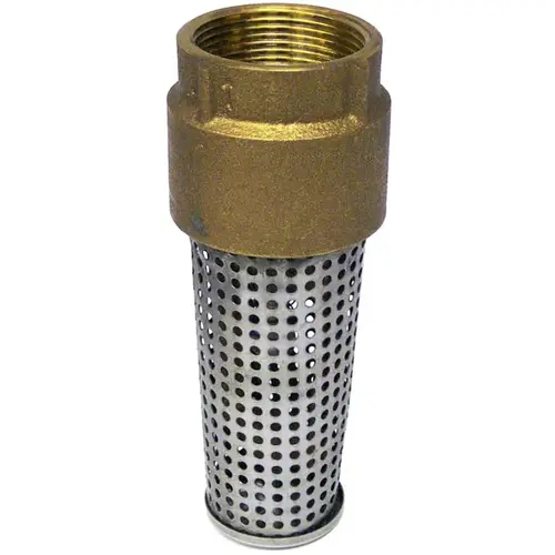 Bronze Foot Valve 1"