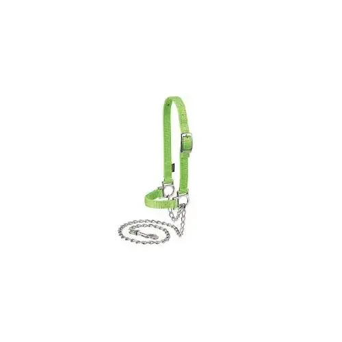 Sheep Halter with Adjustable Lead - Lime Green