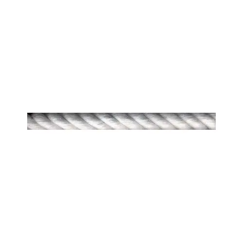 Lunge Line Flat Cotton 1" x 30ft Off-White with Nickel-Plated Bolt Snap Lunge Line Flat Cotton 1" x 30ft Off-White with Nickel-Plated Bolt Snap