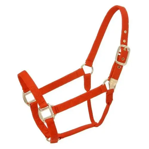 HORSE HALTER NYLON STANDARD ADJUSTABLE FULL - RED HORSE HALTER NYLON STANDARD ADJUSTABLE FULL - RED