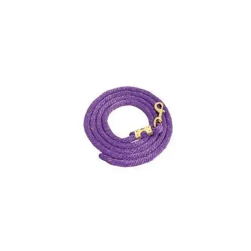 PARATRADE POLY LEAD ROPE BRASS SNAP - PURPLE PARATRADE POLY LEAD ROPE BRASS SNAP - PURPLE