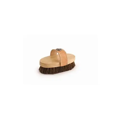 Legends Palmyra Fiber Small Western-Style Oval Mud Brush Legends Palmyra Fiber Small Western-Style Oval Mud Brush