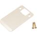 Polished Brass