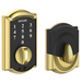 Polished Brass