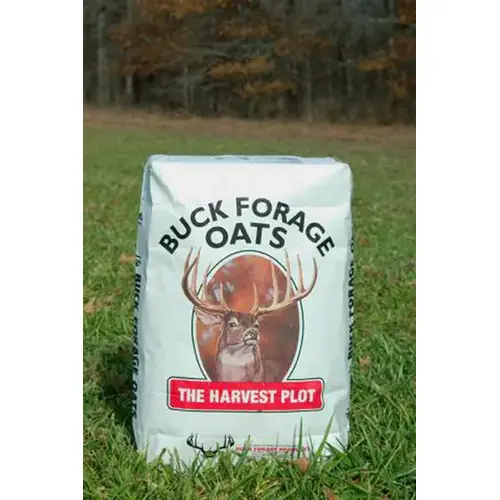 Buck Forage Harvest Plot Oats